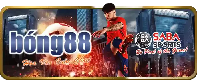 Cá cược thể thao 345Bet